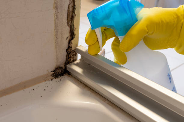 Best Water Damage Restoration  in Longbranch, WA